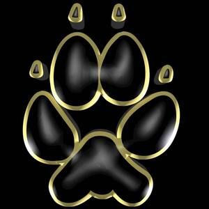 Meet your Posher, Tony